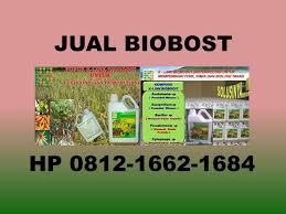 Pin Di Hp Wa 0812 1662 1684 Harga Produk K Link Bioboost Riau