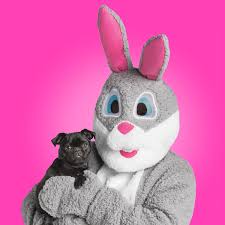 Very important pet rewards including autoship and $5 rewards Petsmart Launches Easter Collection So Every Bunny Can Join In The Fun Of The Season Business Wire
