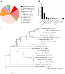 Image result for Aeschynomene pawekiae
