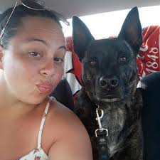 Looking for a groomer that offers all the cute Golden Doodle/Poodle styles  near stone oak. Need an appointment asap!