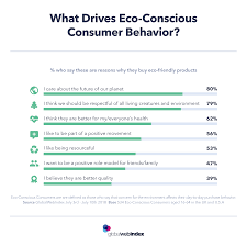 Consumer Behavior What Drives Eco Conscious User