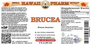 Image result for Brucea