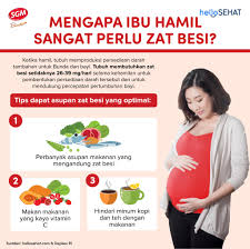 Berikut ini 10 makanan yang mengandung zat besi baik untuk kesehatan : Facebook