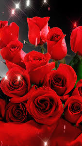 Spectacular flower bouquet happy birthday animated card (gif) happy birthday to someone very special. Gif Descubierto Por Ilga Stasa Descubre Y Guarda Tus Propias Imagenes Y Videos En We Heart Rose Flower Wallpaper Flower Background Iphone Flower Wallpaper