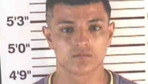 Deputies arrest 2nd teen in Wahneta armed robbery case