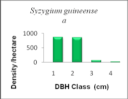 Image result for Eriosema jurionianum