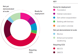 Uk Could Become Net Zero By 2050 Using Negative Emissions