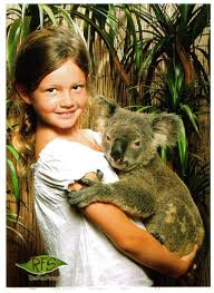 Google has many special features to help you find exactly what you're looking for. Cairns Attractions Where To Cuddle A Koala In Cairns