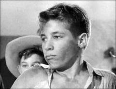 Robbie Douglas, Don Grady and a Brief Nod to Sunshine Pop