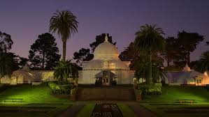 9of27margot patterson doss san francisco at your feet column on the conservatory of flowers, january 15, 1984the chronicle 1984show moreshow less. Conservatory Of Flowers Lights Up For Night Bloom Kfog Fm