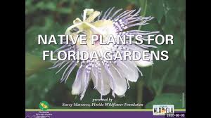 Maybe you would like to learn more about one of these? Native Plants For Florida Gardens Youtube