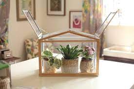 The do it yourself indoor greenhouse just got more interesting. 30 Ultimate Diy Indoor Greenhouse Ideas For Smart Gardening