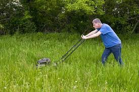 If you take a grass sample from grass mowed at longer length, you will immediately see that the roots are much deeper, more developed and healthier compared to grass mowed much shorter. How To Remove Tall Annoying Grass Cal West Rentals