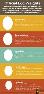 Egg Sizing Chart Great Reference Egg Facts Chickens