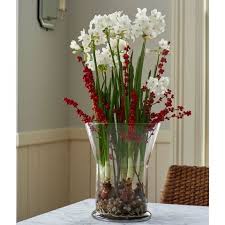 How To Grow Paperwhites Christmas Plants Paperwhites Container Flowers