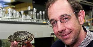 Biologists decode turtle genome