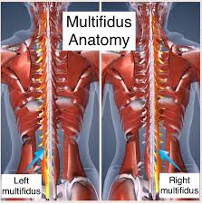 Move the location of the game's folder from the origin folder (onto the same drive so it doesn't take time to tranfer). The Little Known Muscle That May Be The Key To Fixing Your Back Pain And What You Can Do To Fix It