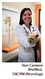 Would you know what to do if your dog had a seizure? What To Do If Your Dog Has A Seizure And Related Faqs Sage Veterinary Centers