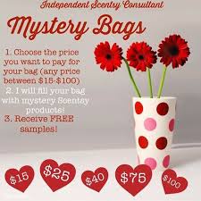 Create outstanding offline and online advertisement campaigns or simply create a. Pin By Nicole Frizzell Martin On Scentsy Mystery Bag Scentsy Scentsy Party