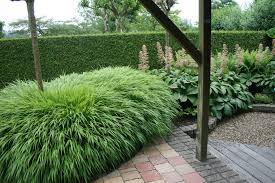 Japanwaldgras Gartenreise Holland Appeltern Garten Ideen Pflanzen