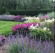 Nepeta Astilben Amenagement Jardin Jardin Maison Jardins