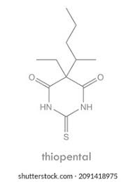 Image result for Methohexital