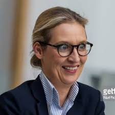 I find it just incomprehensible, she said sunday. Alice Weidel Memes Weidelmemes Twitter