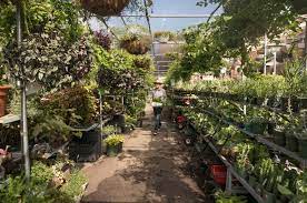 On The Grid Adams Son Gardens Humboldt Park Plants Neighborhood Guide
