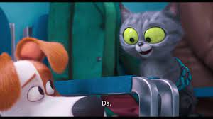 Animația singuri acasă, o comedie despre ce fac animăluțele noastre de companie după ce noi plecăm la serviciu sau la școală zi de zi. Singuri AcasÄƒ 2 Trailer 1 Subtitrat RomanÄƒ Youtube