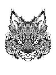 Free Coloring Page Coloring Difficult Cat A Cat Head To Color For Free Coloriage Chat Coloriage Difficile Coloriage