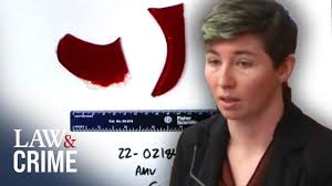 Karen Read’s Taillight Found in John O’Keefe’s Clothing: Expert