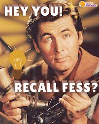 As an actor Fess Parker was best known as Davy Crockett from the Walt  Disney TV series, which aired from 1954 to 1955, and as Daniel Boone from  the NBC series, which