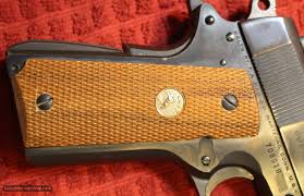 Image result for Pacific Blue 1973 Colt