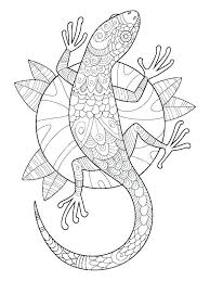 Gecko Coloring Pages Best Coloring Pages For Kids Mandala Coloring Pages Coloring Books Antistress Coloring