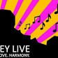 A Night of the Blues (Ilkley Live) event image