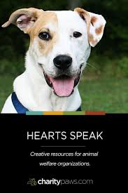 Hearts Speak Animal Rescue Resources Done With Heart Animal Rescue Fundraising Animal Rescue Inspirational Pets
