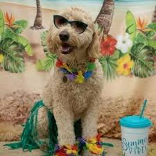 Avery Dale and Jamie Lutton's Wedding Registry