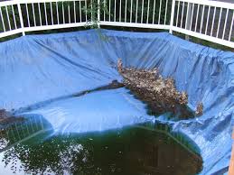 How To Open An Inground Swimming Pool Swimming Pools Inground Swimming Pools Pool