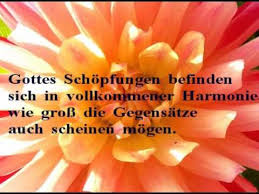 Gedanken über Das Leben Sprüche Weisheiten Zum Nachdenken Zitate