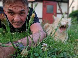 Neues Jahr, neue Bedingungen und Chancen. Von der Erhöhung des Kindergeldes  bis zur Reduzierung der Förderung für Elektroautos. Wir geben einen kleinen  Ausblick darauf, was sich ändert. 👉http://pst.ba/61834ZoWP #postbank  #diepasstbank