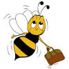 Andy law pest control provide professional bee control for domestic and commercial customers when the bees start to become a pest problem. Https Encrypted Tbn0 Gstatic Com Images Q Tbn And9gcszo6sd0w Wdi1ilu1wx Funn4uz5cjsqs 1jajpntznvfvnewr Usqp Cau