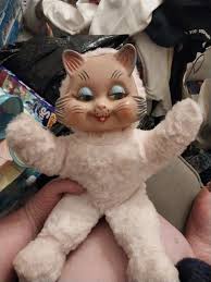 Knickerbocker Cat FOR SALE!