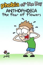 Pin By Bfdi Amy On Quotes Phobias Funny Wallpapers Favorite Quotes