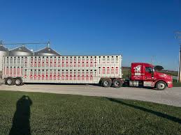 Headed back to the north