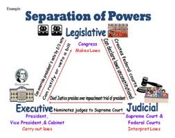 The constitutional separation of powers between the legislature and the executive branches is compounded by the existence of courts with powers of review. U S Constitution Project Preamble Articles Separation Of Powers