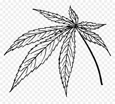 How to draw a weed leaf. Line Drawing Of Cannabis Leaf Hd Png Download Vhv