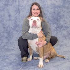 Purina products, global brand of pet food produced by nestle purina petcare, a st. Turning Our Community Into A Pet Shelter Metro St Louis Steps Up For The Animals Gateway Pet Guardians