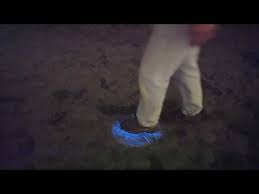 Alien footsteps on beach in San Diego, Bioluminescence (Red Tide) makes  Avatar footsteps - YouTube