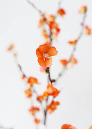 Invest in permenant artificial flowers that you can change throughout the seasons. Artificial Sakura Cherry Blossom In Orange 50 Cherry Blossom Branch Sakura Cherry Blossom Spring Wedding Flowers