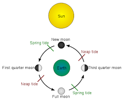 Tides Earth Science